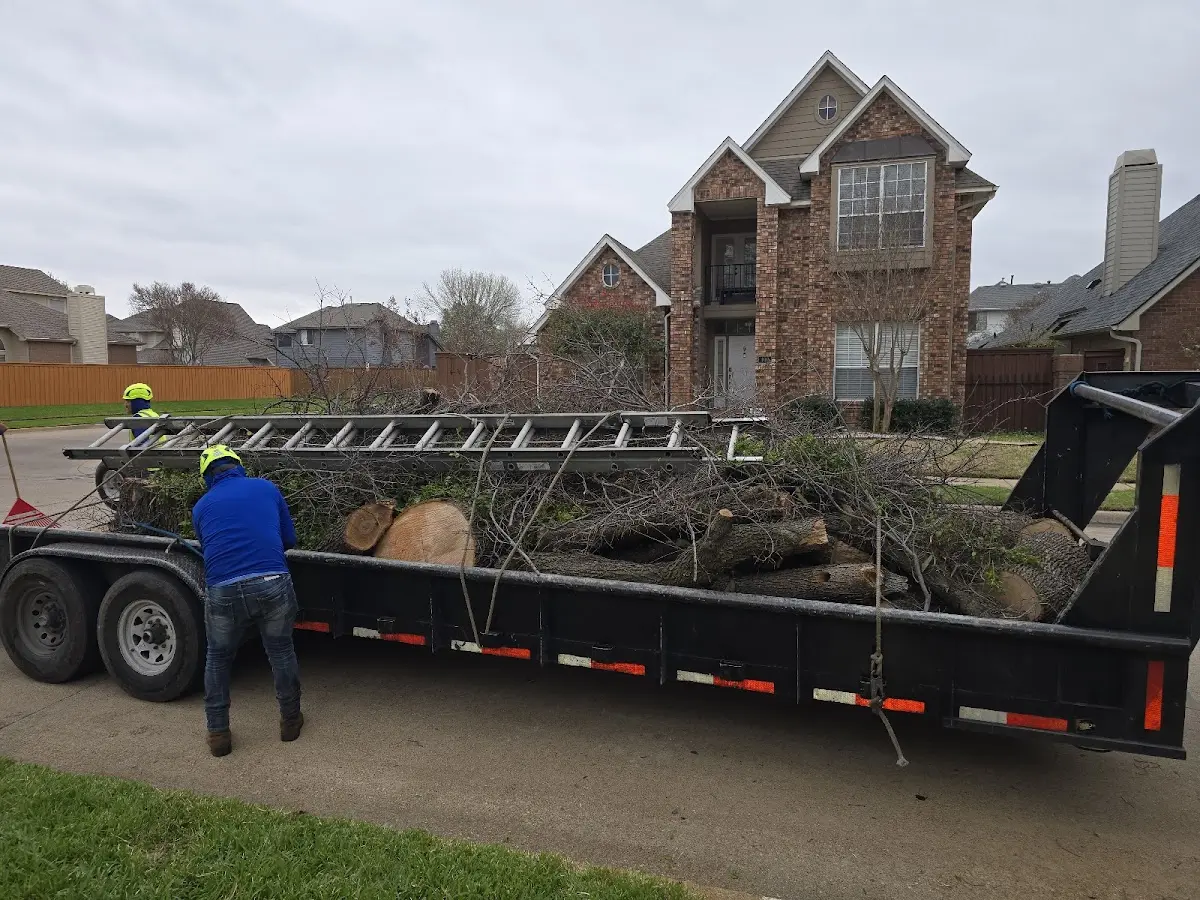 Expert Tree Pest Control with proper safety equipment in Lebanon